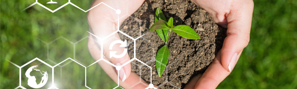 Sol et biosolutions