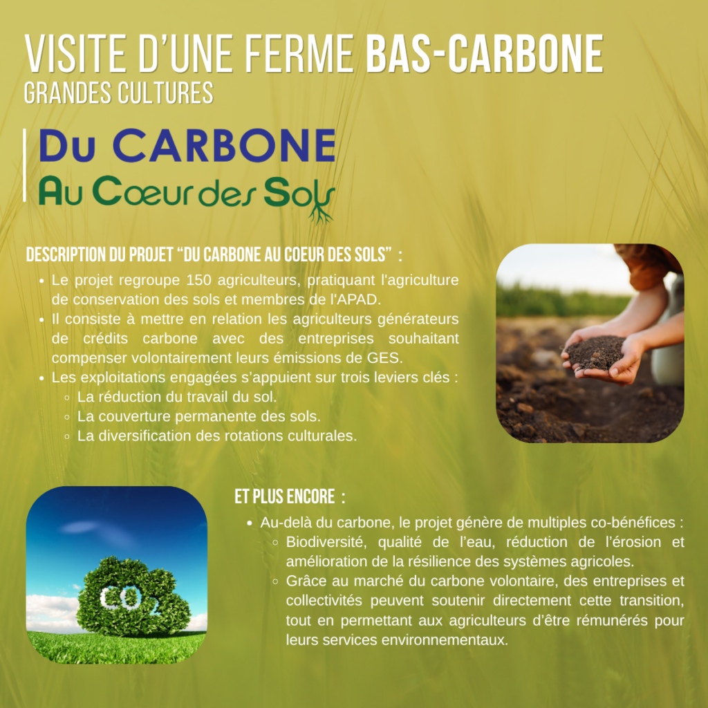 Présentation Du Carbone Au Cœur Des Sols